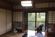 Before画像