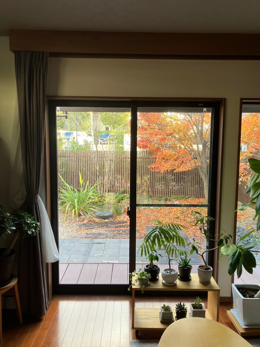 Before画像