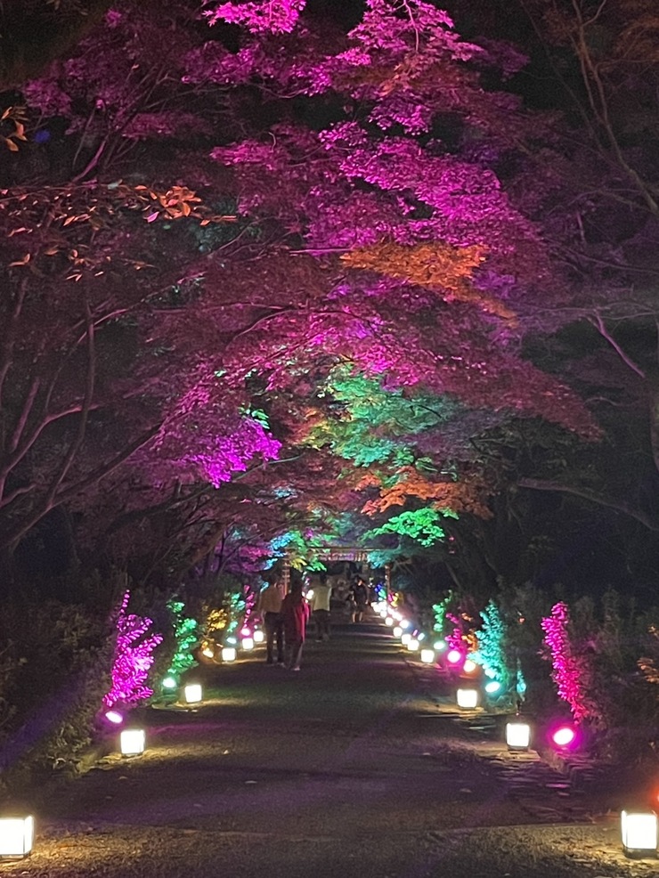 スタッフの休日🌳 アイキャッチ画像